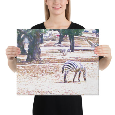 Zebra - immagine 4